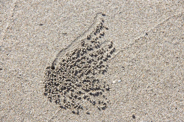 Batterfly 모래 패턴 — 스톡 사진
