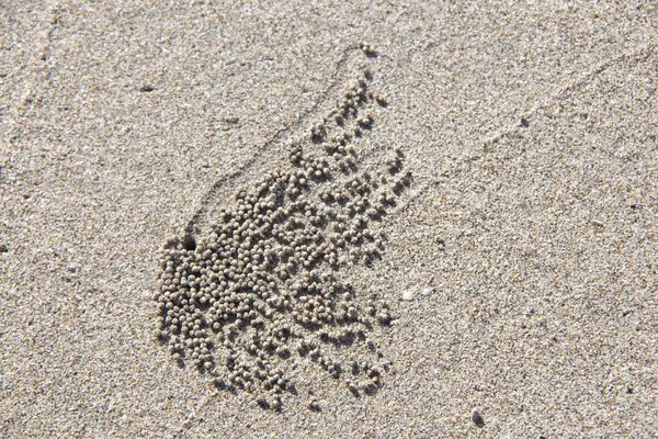 batterfly kumlu desen