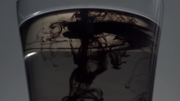 Gota de tinta en el agua — Vídeos de Stock