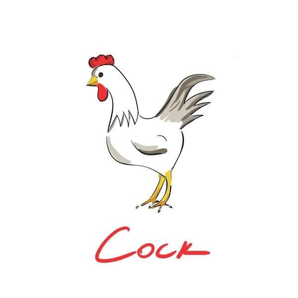 Hand drawn cock isolated — Stock Vector