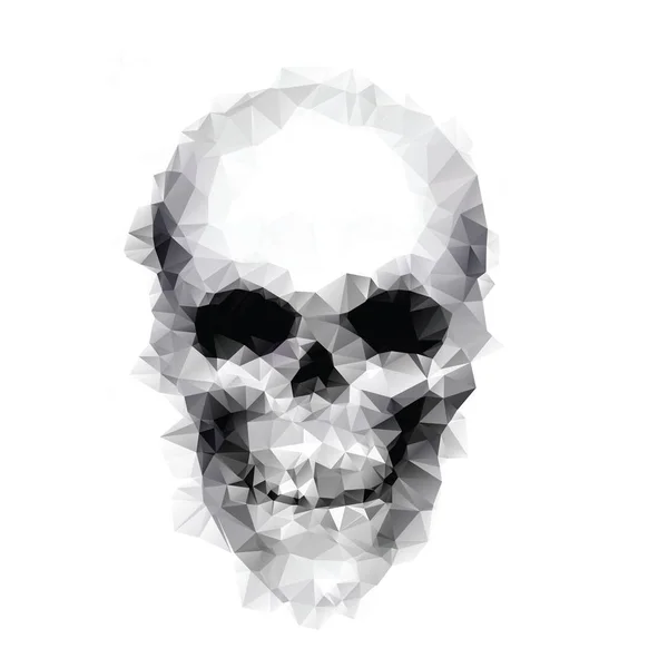 Skull isolated. Human. Low poly style — Stock Vector