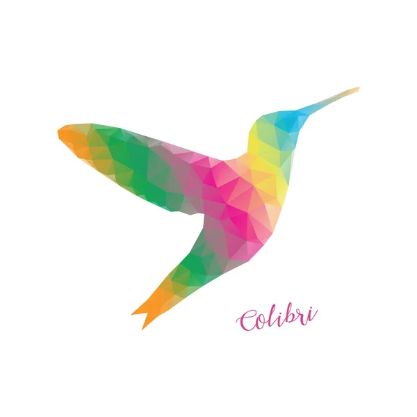 Düşük Poli colibri kuş renkli. Colibri poligonal renkli