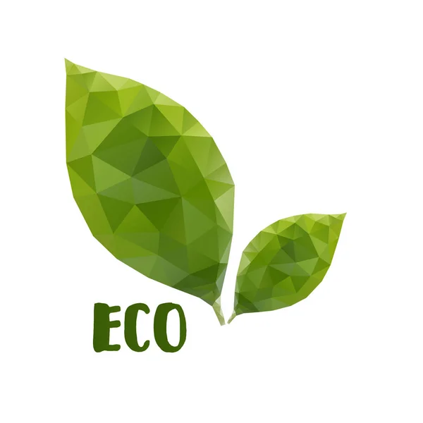 Low poly leafs. Eco concept — Stock Vector