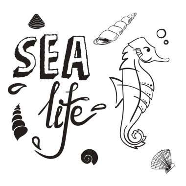 Deniz hayat kavramı. Denizatı kabuk el ile çizilmiş vektör çizim