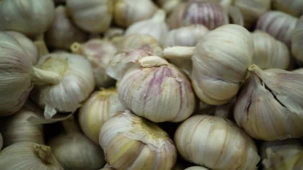 Obst- und Gemüsekisten in einem Lebensmittelgeschäft — Stockvideo