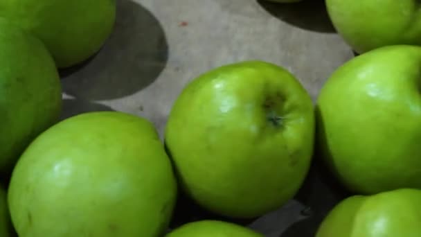 食料品店で果物や野菜のボックスのトラッキング ショット — ストック動画