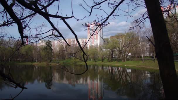 Озеро Парке Города Оставайся Свежем Воздухе Timelapse — стоковое видео