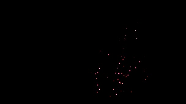 Feux d'artifice dans le ciel nocturne