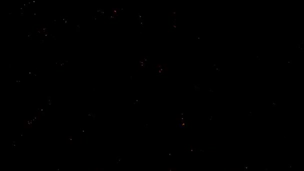 Fuochi Artificio Festivi Nel Cielo Notturno — Video Stock