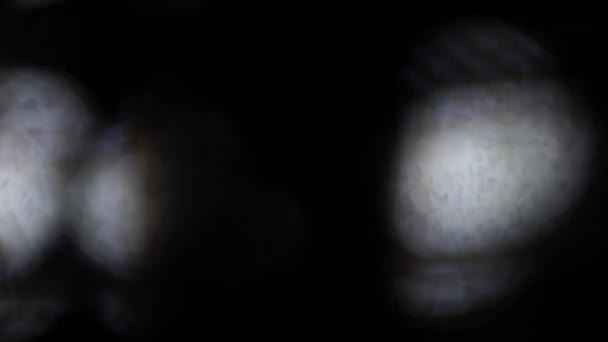 背景上色彩斑斓 移动的光斑 — 图库视频影像
