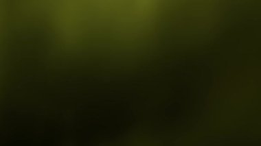 Arkaplanda renkli, bulanık, soyut, hareket eden ışık noktaları