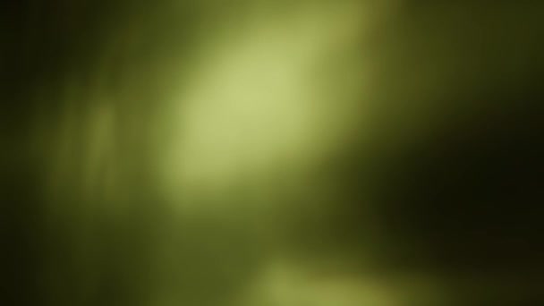 Des taches de lumière colorées, floues, abstraites et mouvantes sur le fond 