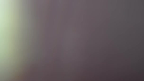 Des taches de lumière colorées, floues, abstraites et mouvantes sur le fond 