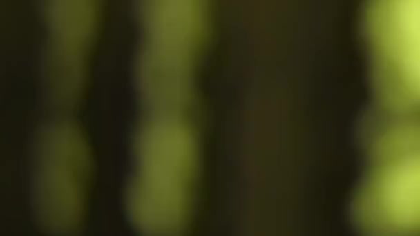 Berwarna Kabur Abstrak Bintik Bintik Cahaya Bergerak Latar Belakang — Stok Video