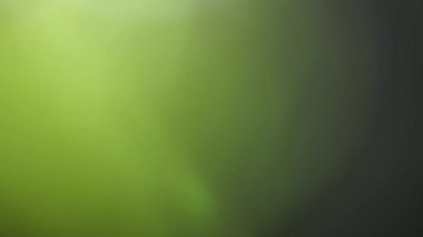 Hareket eden bokeh, sönmüş, bulanık, siyah arkaplanda yanıp sönen ışık