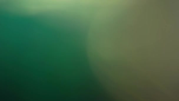 Bokeh en mouvement, défocus, flou, lumière clignotante sur fond noir 