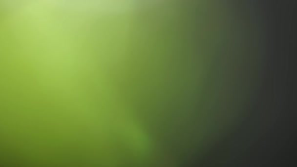 Bokeh en mouvement, défocus, flou, lumière clignotante sur fond noir 