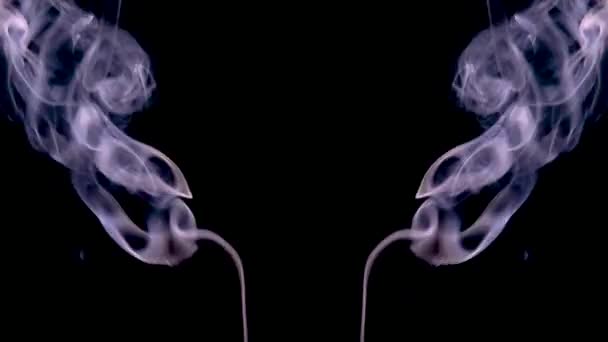 Symmetrically moving colored smoke on a black background. — 비디오