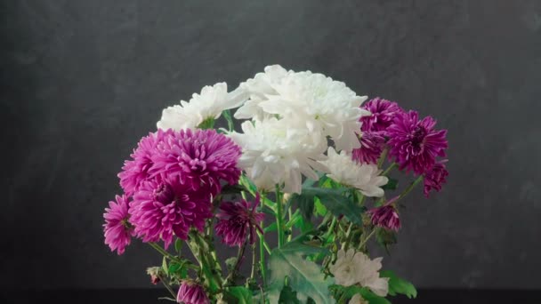 Chrysanthèmes Blancs Violets Sur Fond Sombre — Video