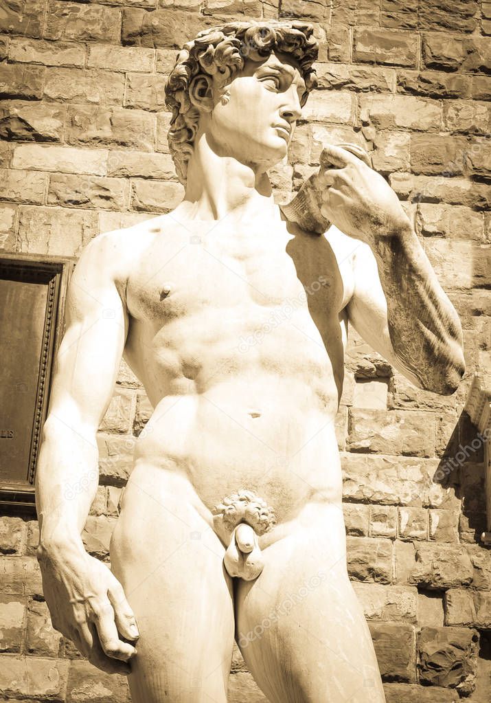 Statue of David in Florence 