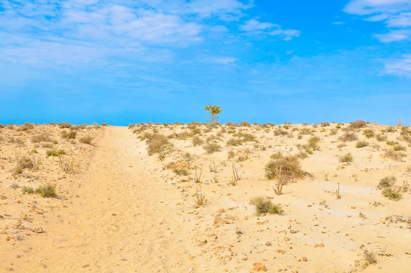 Wüstenlandschaft in Kapverden, Afrika — Stockfoto