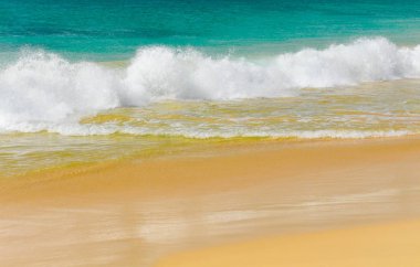Tropikal bir denizin dalgaları 