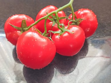 Güzel, sulu, siyah arkaplanda bir dalda domates. Yakın çekim.