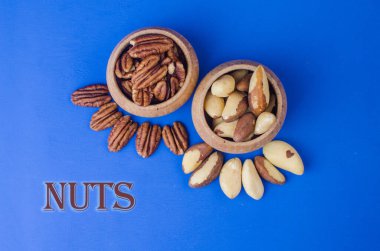 Pekan and brazil nuts on blue background. Healthy food clipart