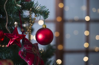Şenlikli arka planda çam dallarında asılı parlak Noel kırmızı topu.
