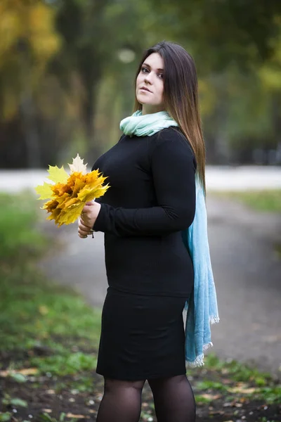Молодой красивый кавказский плюс размер модели в черном платье на открытом воздухе, XXL женщина на природе, осенняя атмосфера — стоковое фото