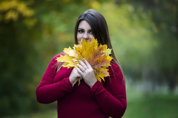 Young beautiful caucasian plus size model in red pullover outdoors, xxl woman on nature, autumn atmosphere — Stock Photo, Image