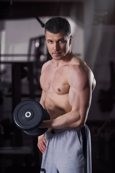 Bodybuilder workout with dumbbells in gym, perfect muscular male body — Stock Photo, Image