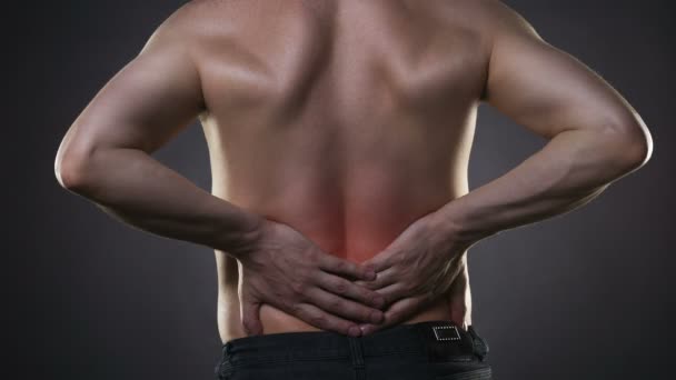 Douleurs Dorsales Inflammation Des Reins Douleurs Dans Corps Homme Sur — Video