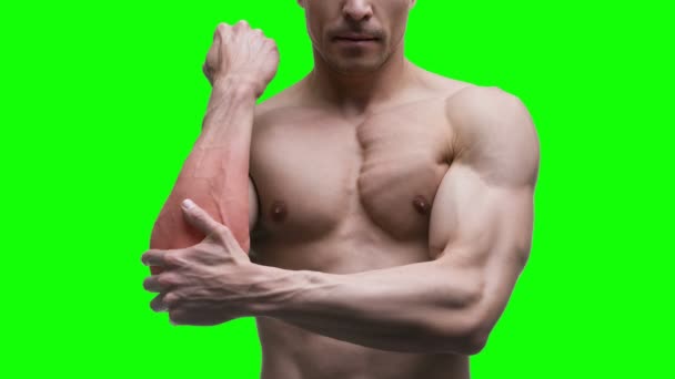 Dolore Gomito Muscoloso Corpo Maschile Sfondo Verde Chroma Key Video — Video Stock