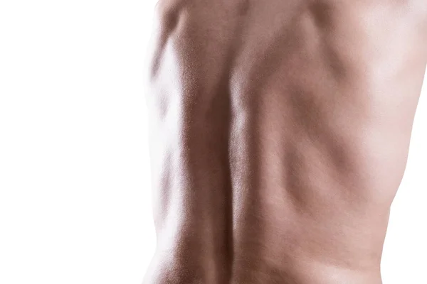Masculin Muscular Spate Izolat Fundal Alb Aproape Spațiu Copiere — Fotografie, imagine de stoc