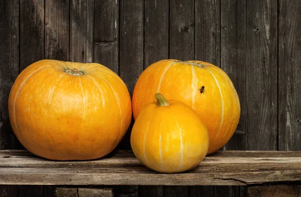 Three ripe pumpkins on wooden background — Stock Photo, Image