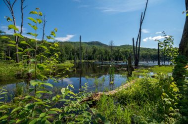 Kunduz göl Dağı van hoevenberg iz adirondack içinde ' 