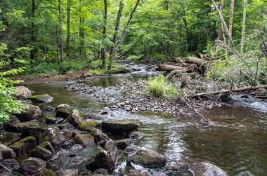 Vahşi doğada tahammül