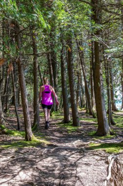 kadın uzun yürüyüşe çıkan kimse orman ile bir iz üzerinde