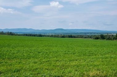 Arka planda dağlar ile büyük alan