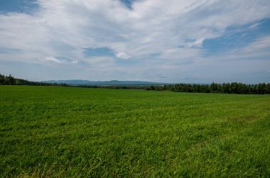 Arka planda dağlar ile büyük alan