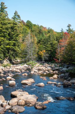 Rocky river erken sonbahar