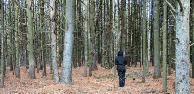 karanlık şekil ayakta bir orman kenarında