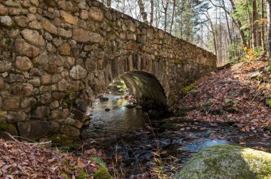 kadın alarak fotoğraf santan giden yolda eski taş köprünün