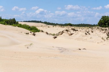 Dış Bankalar dunes adlı jokey ridge