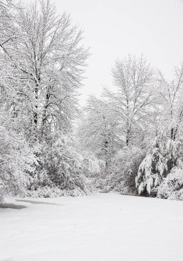 Bahar kar fırtınası