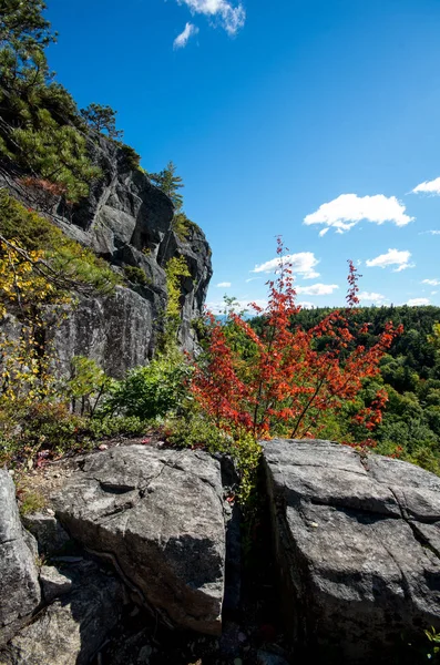 Pohled z sumit chřestýš hory — Stock fotografie