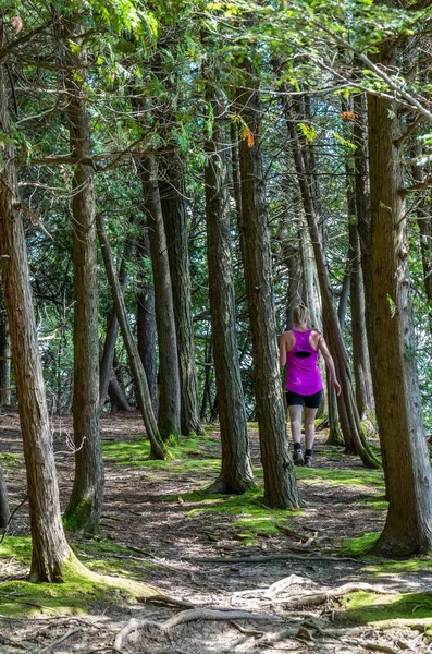 Wanderin Auf Einem Waldweg — Stockfoto