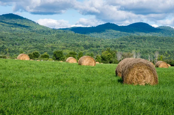 Bir tarla saman balya