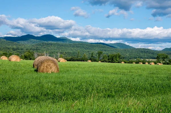 Hay Bales in a fiels — Stock Photo, Image